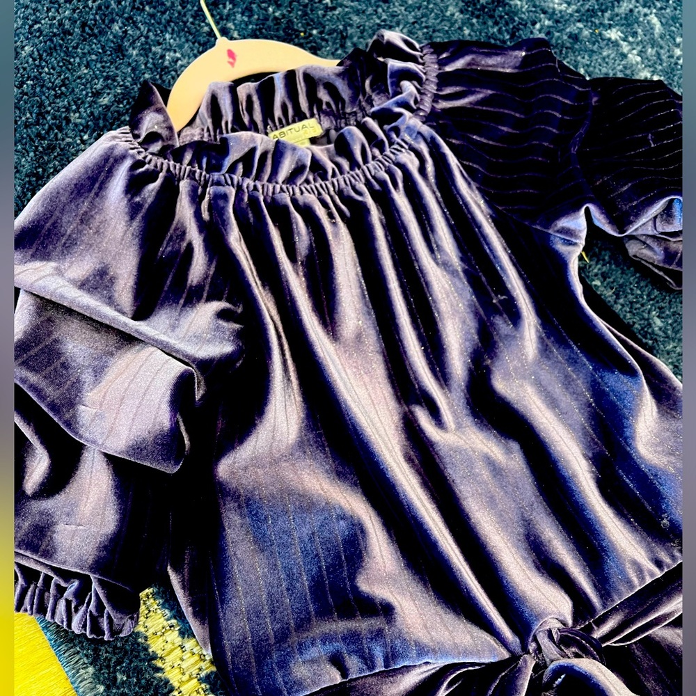 Habitual Kid Brushed Velvet Sparkly Purple 2-piece - 4T